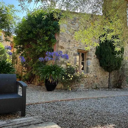 Carbo De * Пералада